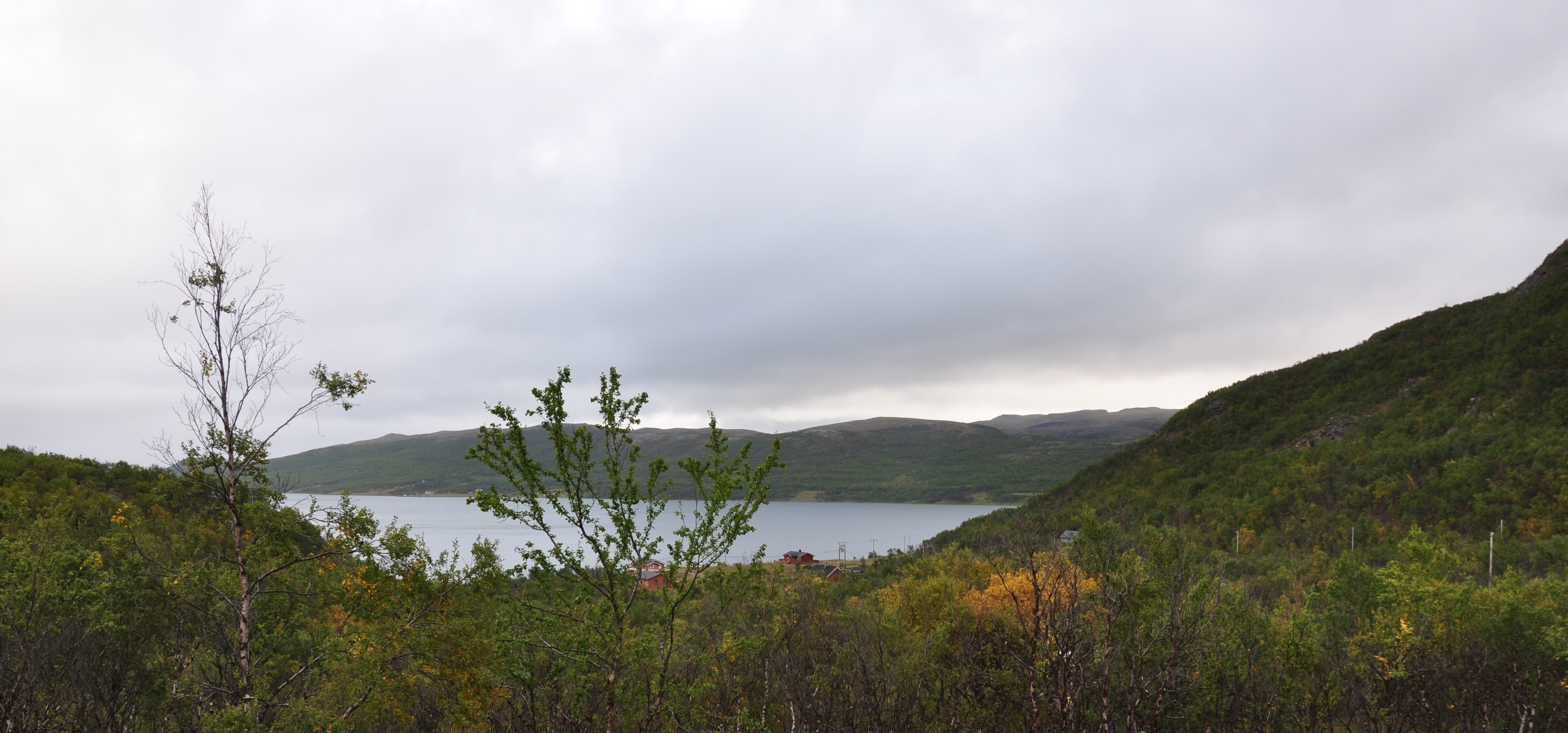 Sjursjok 10